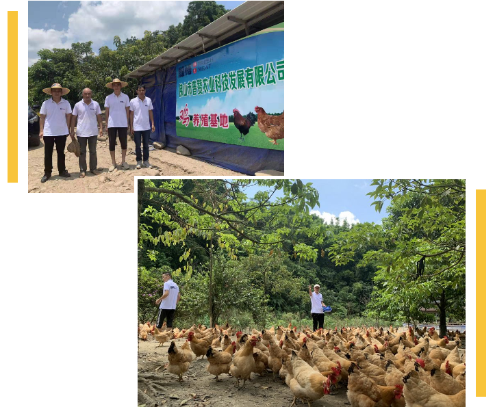 小程序商城開發(fā)