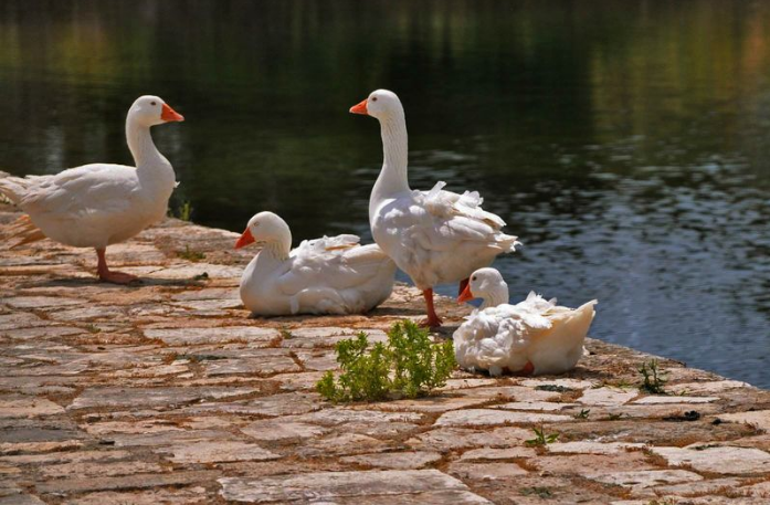 小程序開發(fā)