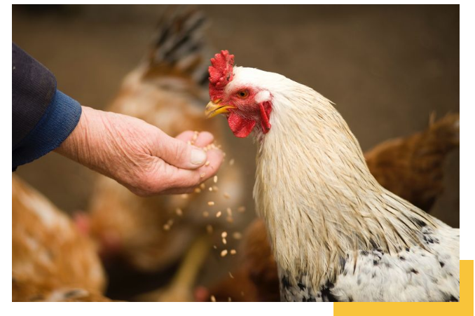 小程序商城多少錢