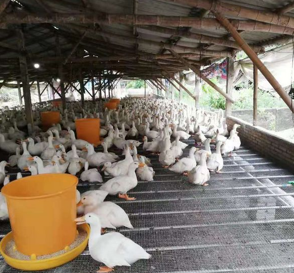 小程序開發(fā)多少錢